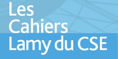 Jugement du TI de Saint Denis du 11 octobre 2018 : que reste-t-il des établissements distincts pour la mise en place du CSE ?
